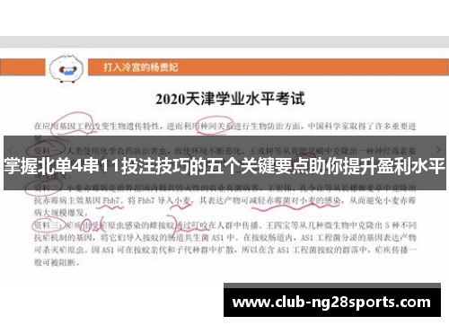掌握北单4串11投注技巧的五个关键要点助你提升盈利水平