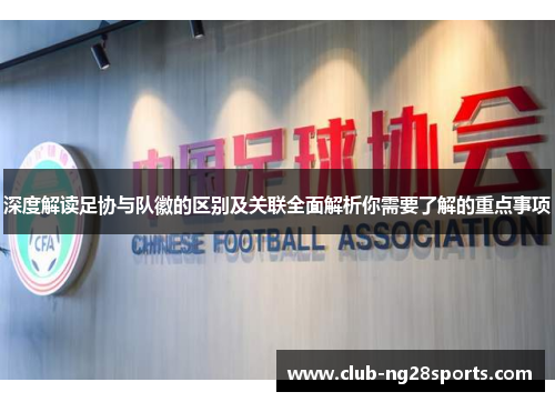 深度解读足协与队徽的区别及关联全面解析你需要了解的重点事项