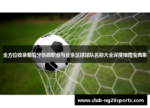 全方位收录葡萄牙各级职业与业余足球球队名称大全深度指南宝典集 全方位收录葡萄牙各级职业与业余足球球队名称大全深度指南宝典集