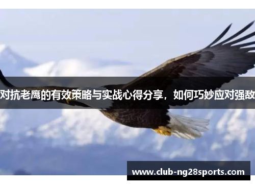 对抗老鹰的有效策略与实战心得分享，如何巧妙应对强敌